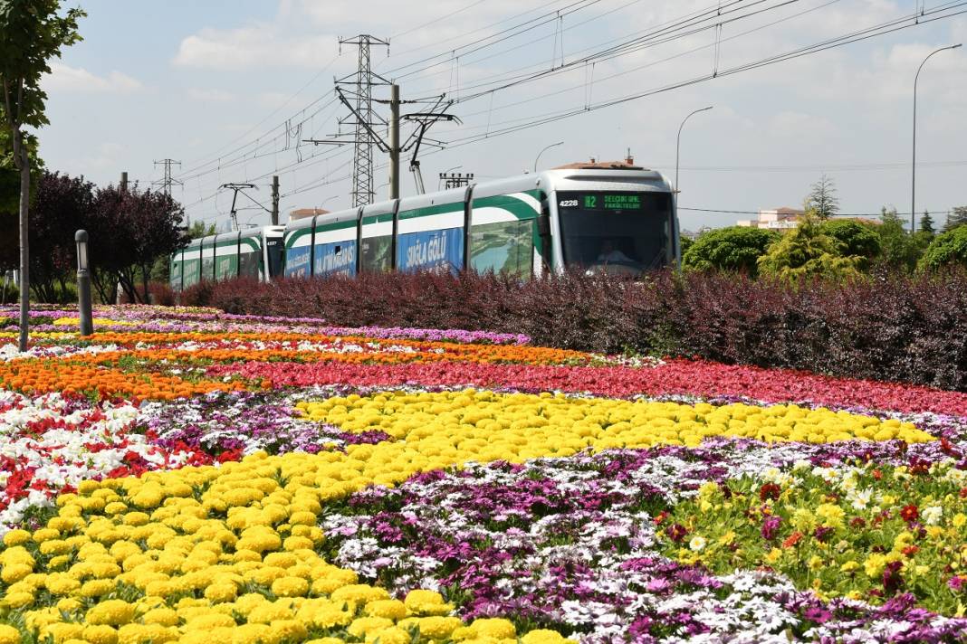 1,8 milyon çiçek, açtı: İşte göz kamaştıran Konya park ve caddeleri 6